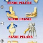 persendian1