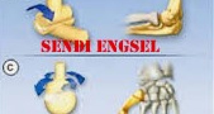 persendian1