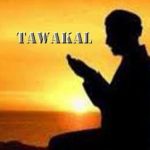 tawakall