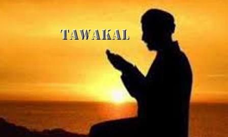 tawakall