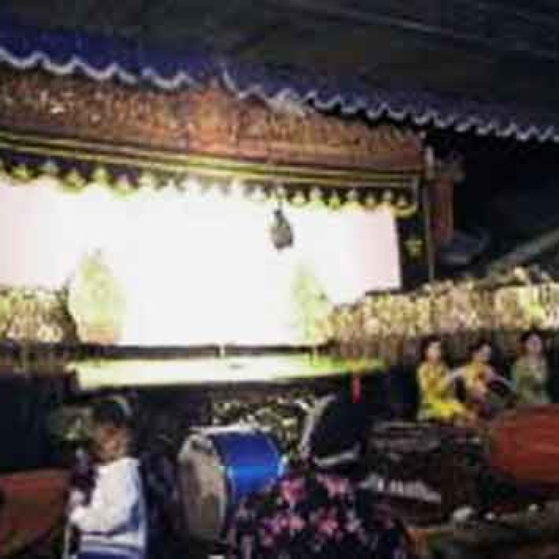 wayang kulit