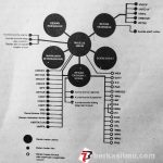 Bagan Struktur Organisasi PBB