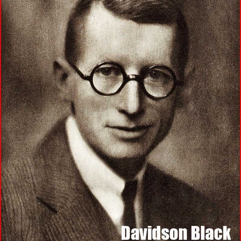 Davidson Black