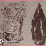 Kapak perimbas manusia purba