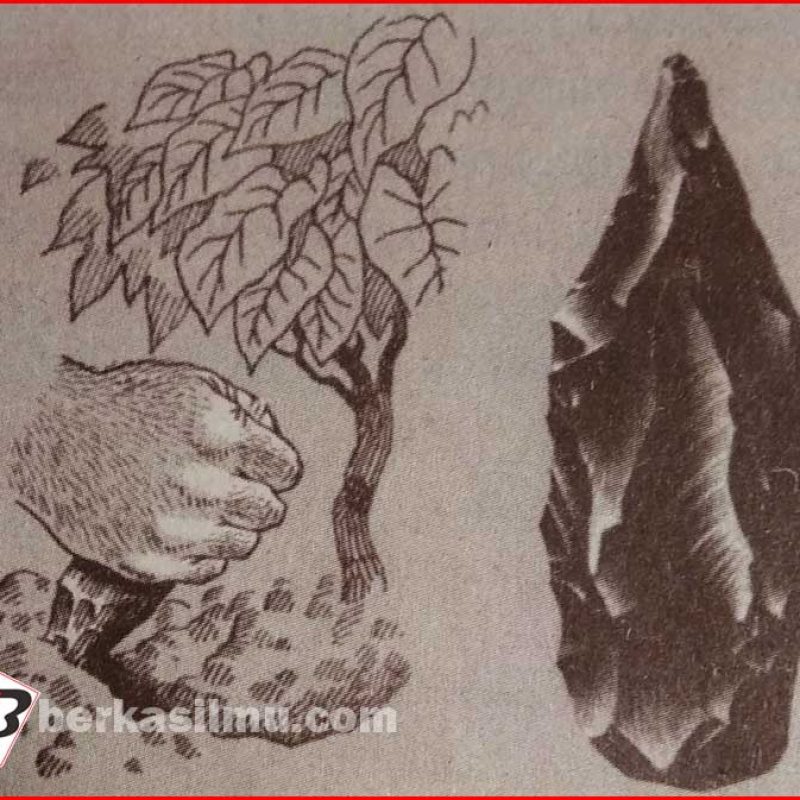 Kapak perimbas manusia purba