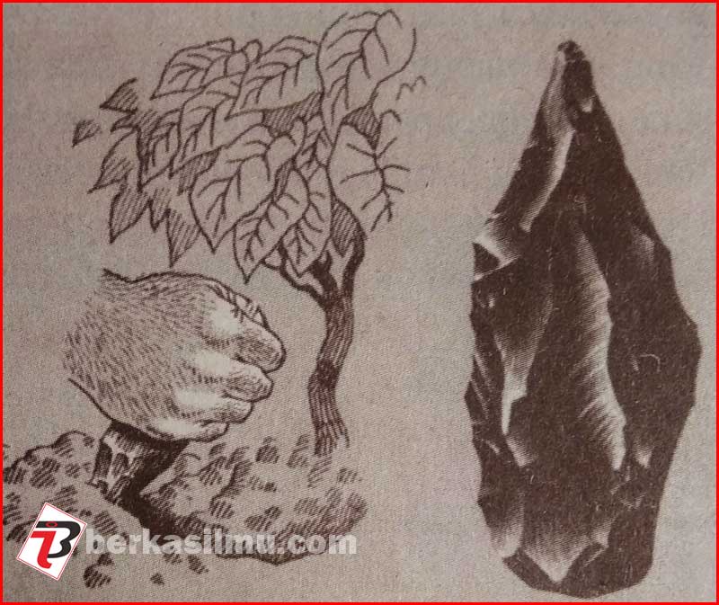 Corak Kehidupan Masyarakat Purba di Indonesia 1 Gambar Kapak perimbas manusia purba